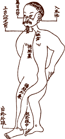 Yang Qiao Meridian������ͼ����